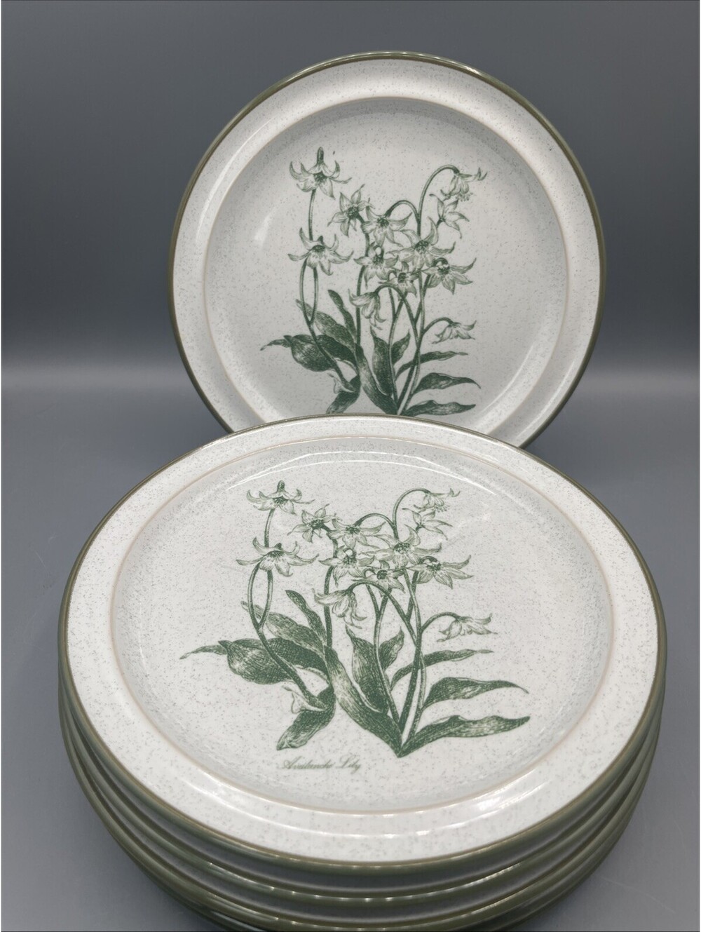 6 Noritake Mountain Flowers Green 8343 Salad Plates 8 3/8” Stoneware Japan